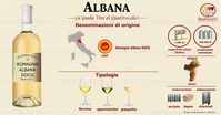 I Vini Albana - Guida Quattrocalici