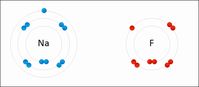 Ionic vs Covalent Bonds