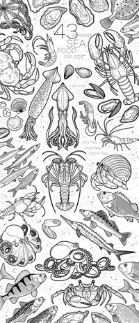 Seafood graphics #patterns#color#variations#design