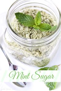 Mint Sugar is perfect to sprinkle on fresh fruit, rim cocktail glasses, or stir into tea or lemonade! Get the recipe at LoveGrowsWild.com