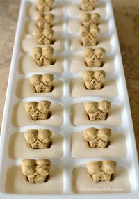 Quick and Easy Frozen Dog Treats for Summer, aka Copycat Frosty Paws Recipe