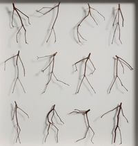 Twelve Twigs by wylene