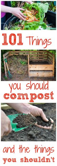 101 Things You Can Compost and The Things You Shouldn't Compost