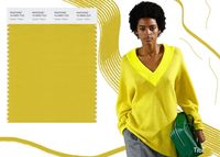 Pantone Fall/ Winter 2018-2019 Colors Trends: Ceylon Yellow