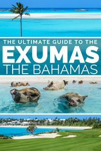 Exumas Cays: Guide to the Exumas Bahamas islands. A golfers paradise at Emerald Bay Bahamas where the Sandals Bahamas is located and the Grand Isle Resort & Spa. On Exuma Bahamas you can go swimming with the Exumas Pigs at Staniel Cay bahamas. Visit Geoergetown Exumas, the largest town and international airport serving it. The Exuma Islands consit of Great Exuma bahamas and Little Exuma Bahamas aswell as the Exuma Cays, including the beautiful Staniel Cay Exuma.