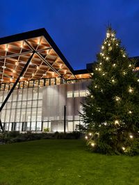 #universityofwarwick #uniofwarwick #warwick #uni #warwickuni #coventry #christmas #christmastree