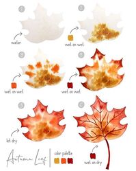 Sara B. on Instagram: “Here’s a simple fall leaf watercolor tutorial using the wet on wet technique. Fall leaves are really fun to paint because you can use all…”