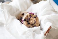 Healthy No Sugar Added Blueberry Muffins