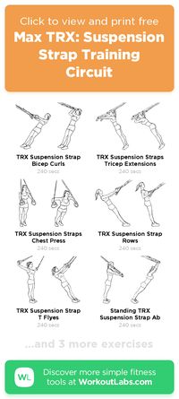 Free workout: Max TRX: Suspension Strap Training Circuit – 53-min abs, arms, back, legs exercise routine. Try it now or download as a printable PDF! Browse more training plans and create your own exercise programs with #WorkoutLabsFit · #AbsWorkout #ArmsWorkout #BackWorkout #LegsWorkout