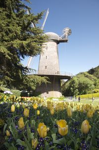 JOHN F KENNEDY DRIVE & 47TH AVENUE The western edge of Golden Gate Park is known for quite a few attractions, but one of its best kept secrets is a tulip garden	that's planted just below the Dutch Windmill. It features thousands of tulips interspersed with Icelandic poppies, which are in full boom in March and April. Why's the garden named after a former queen of the Netherlands? Because she donated the Dutch Windmill to San Francisco in 1902.