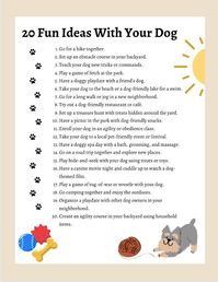 Fun ideas for you and your pup! Try these activities to keep your furry friend happy :)