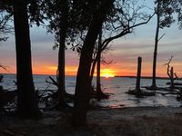 Explore A Maritime Forest At Nags Head Woods In North Carolina