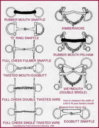 Types of bits #Horsemastership #glenlyon pony club.