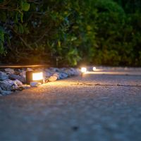 Stemless Brass Path Light (Bronze) | VOLT® Lighting