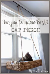 Totally nifty, simple DIY hanging cat bed window perch seat! /doreencagno/ Hymns and Verses