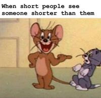 61 Funny Clean Memes - "When short people see someone shorter than them."