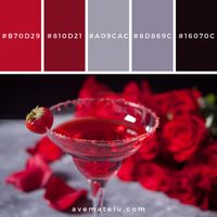 Red exotic alcoholic cocktail in clear glass Color Palette #288 – Ave Mateiu