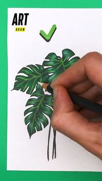 Draw Monstera plant / Drawing tutorial / Sketching / Plant drawings / Drawing technique / Coloring technique