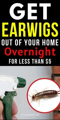 Learn how to get rid of earwigs in your home with these effective tips! Whether you’re dealing with earwigs in house or need garden pest control, this guide covers everything from using diatomaceous earth food grade to creating a DIY earwig killer. Try a natural earwig repellant or an earwig repellant for a chemical-free solution. Discover the best earwig killer methods, organic pest control options, and natural bug repellent ideas to tackle household bugs.