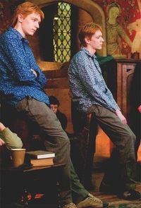 theo — Weasley & Weasley