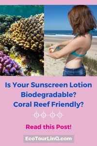 HOW SAFE IS YOUR SUNSCREEN? Is your sunscreen full of synthetic fragrances and chemicals that can be toxic to your body? If you like diving and snorkeling around coral reefs, are you unknowingly causing harm to these corals due to your sunscreen? Find out why biodegradable non-toxic natural sunscreens are better for you and the environment! #EcoTourLinQ #sunscreens #skincare #greenliving #ecofriendly #snorkel #clicktoread