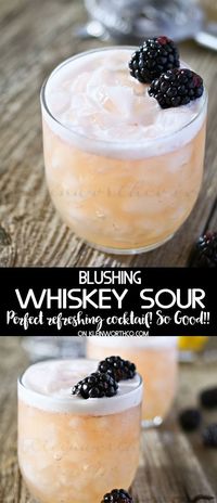 20 Summer Cocktail Recipes for your next party! -