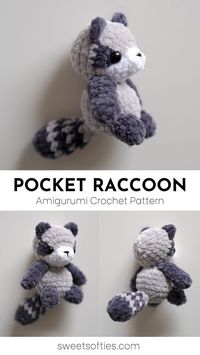 Pocket Raccoon - Payhip