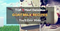 4 of the Most Delicious Goat Milk Recipes You’ll Ever Make - HomesteadChores.com