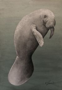 Mixed media Manatee art on wood board