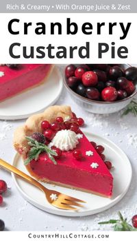 Looking for the perfect holiday dessert? This easy homemade cranberry custard pie recipe is it! It looks exquisite and has all the festive flavors you want to serve your guests throughout the season. Made with a flaky pie crust and lush custard filling. This cranberry citrus pie has just the right amount of fruity cranberry flavor, bright orange aroma, and creamy sweetness. It’s great for any occasion during the holidays and will be a showstopper on your dessert table. | CountryHillCottage.com