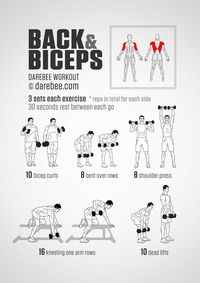 Back and Biceps Workout