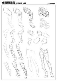 Image result for krenz body leg