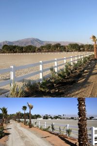 Desert International Horse Park (@deserthorsepark) just added white PVC fencing to three of their sand arenas for the purpose of non-competition schooling and morning lunging. The fencing really stands out and looks great! Have questions or would like pricing? 📞 800-826-1287 #horses #pvc #horsefence #rammfence #horseproperty #horselife #fenceinstallation #diyproject #equestrian