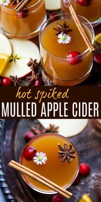 Spiked Hot Apple Cider is perfect for the holidays! Made with cinnamon sticks, star anise, clove, allspice, oranges & a spiced rum to warm you right up! #crockpot #glutenfree #alcoholic #thanksgiving #cider #applecider #cocktails #christmas