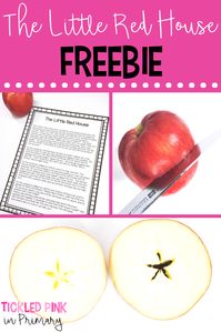 FREE story to use during your apple theme week to show the star in the middle of an apple