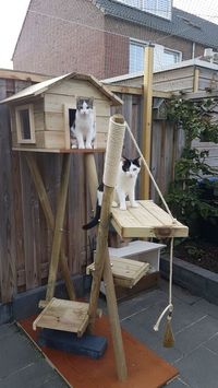 30+ DIY Catio Ideas That Are Totally Pawsome | HubPages