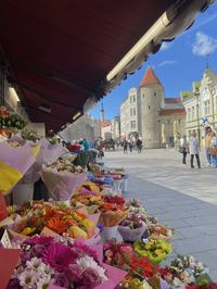 #Tallinn #Estonia #BalticStates #OldTownTallinn #TravelEstonia #ExploreTallinn #VisitTallinn #TallinnCity #MedievalTallinn #TallinnArchitecture #TallinnView #TallinnExperience #TallinnLife #TallinnCharm #TallinnHistory #TallinnCulture #TallinnWanderlust #TallinnAdventures #TallinnVacation #TallinnHoliday #TallinnTourism