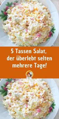 5 Tassen Salat, der überlebt selten mehrere Tage!