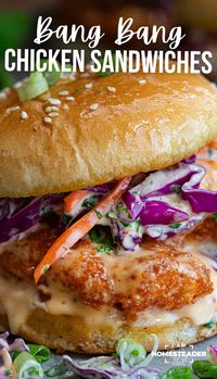 This Bang Bang Chicken Sandwich combines crispy, spicy chicken tenders with a slaw of red cabbage, carrots, and cilantro, all topped with bang bang sauce on toasted buns. It’s a little bit of heat, sweetness, and crunch with a whole lot of flavor in each deliciously messy bite!