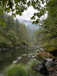 #oregon #nature #pnw