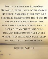 Ezekiel 34:11-12