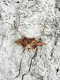 *** As Seen In Oasis Fashion Christmas Windows 2016 & on Made In Chelsea! ***  A luxury Deer Mask handcrafted using real, natural brown coloured hackle and chicken feathers with real wooden twigs and a hand painted finish. This mask is lightweight and comfortable to wear with discreet