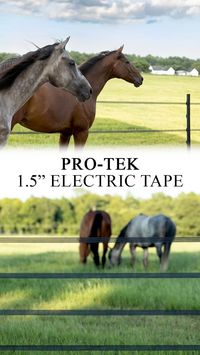  

RAMM's Pro-Tek 1.5" electric tape is a popular and economical electric fence made of polyethylene fibers woven with 15 stainless steel wires. The stainless steel wires won’t oxidize, corrode, or turn green over time like copper. Conductivity is also stronger with stainless steel so this horse fence won’t lose its initial strength as time passes - keeping your horse(s) safe and your fence working properly long past the 20-year LTD warranty! 

Pro-Tek electric tape has Ultra-Violet (UV) protection against damaging rays. It is highly visible and can be used alone or with existing fence systems. Pro-Tek electric tape is ideal as an interior reinforcement for Flex Fence®, board, and PVC fencing. It also works great as a temporary or traveling fence solution. This affordable electric horse fe