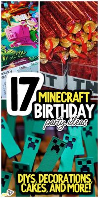 17 Of The Best Minecraft Birthday Party Ideas On The Planet