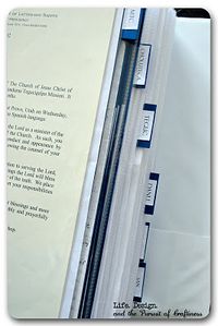 LDS Mission Book... Wow... pics/letters/etc organized in tabs for areas... I need to find time to do this for me and my hubby