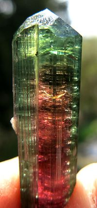 Gem Pederneira Double Terminated Tourmaline. 18.6 Grams. 100% Transparent by GoldenHourMinerals on Etsy