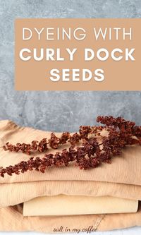 Dyeing With Curly Dock Seeds - Salt in my Coffee