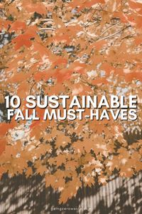 10 Sustainable Fall Must-Haves - Going Zero Waste