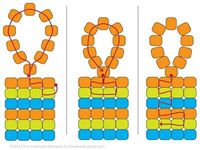 Bead Loom Loop