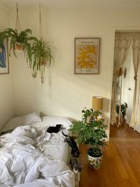 a comfy bedroom with hanging plants and posters